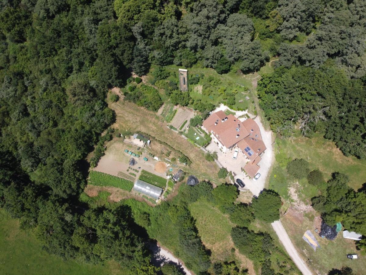 Apartamentos Rurales Casa Lafuente Luquiano Eksteriør billede